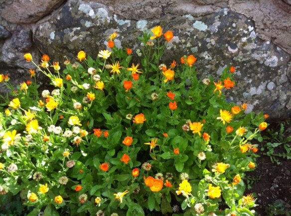 484396_10151097758922158_1978386665_n