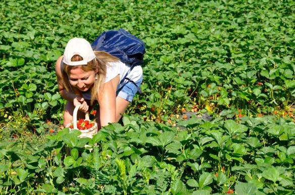 401793_652307234783497_222163967_n