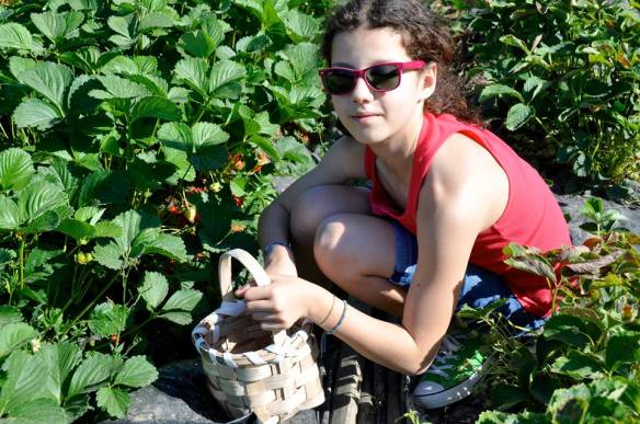 429918_652307038116850_663181866_n