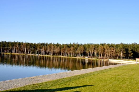 580904_652307434783477_1389622174_n