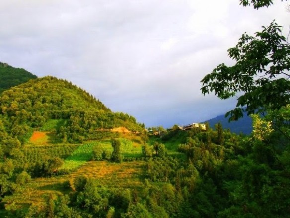 macahel köyü(camili köyü)