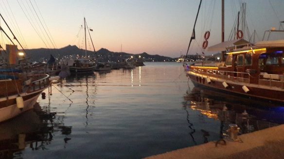 10609584_924100657604815_4825806771225019424_n