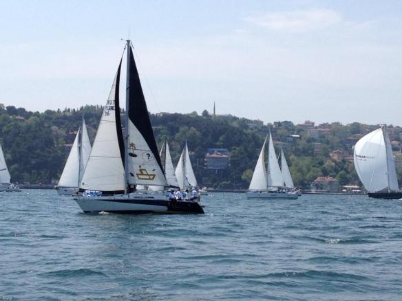 945683_10151582806957072_1979236933_n