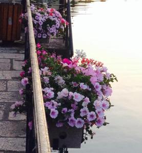 10245384_10153063206044311_6644024824665989620_n