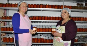 DSC_0070-Custom-300x160