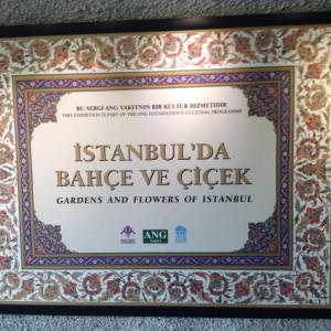 10436685_10153441977344311_2429334324920448585_n