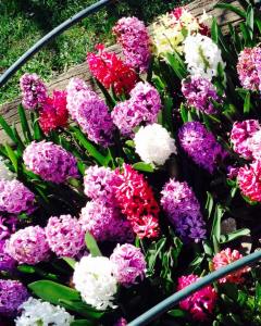 11011521_10153441976069311_7537423353906751538_n