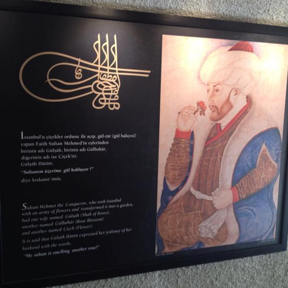 19828_10153441976874311_4878799814203151596_n