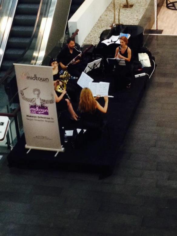 11403066_10153694596349311_2558355179653275109_n