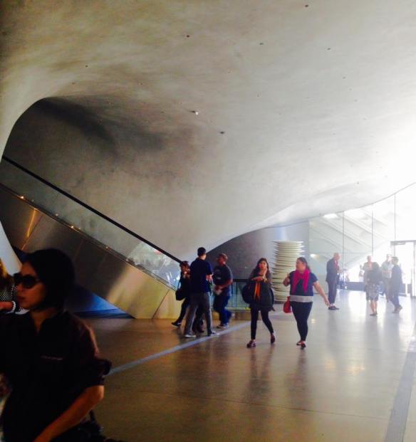 12239653_10153988151799311_7783832316174391767_n