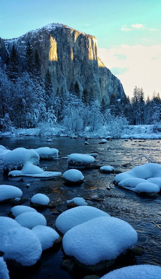 1918334_10103757506418845_4895961755060991104_n