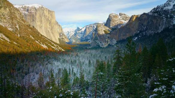 1936455_10103750959468985_1513279870482483327_n