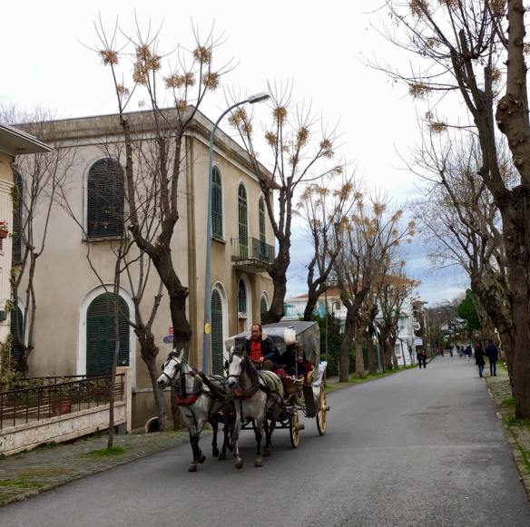 12744665_10154178589979311_194501642005162471_n