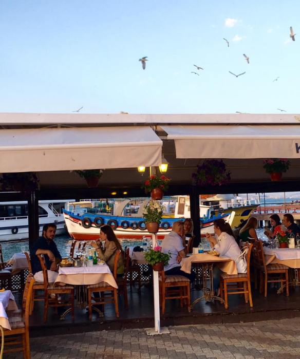 13254047_10154452310689311_5210562872256457250_n