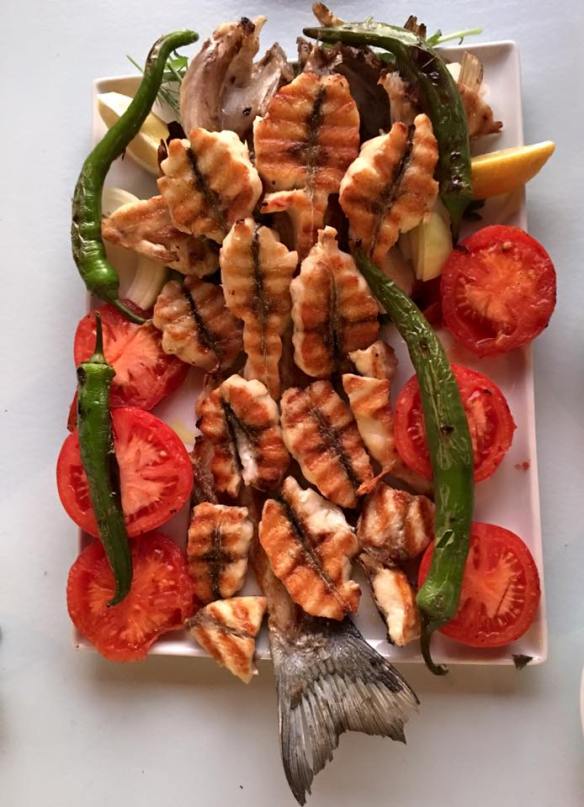 12801485_10154235232124311_1767275460619452376_n